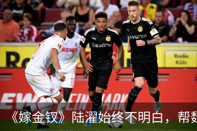《嫁金钗》陆濯始终不明白，帮魏娆认亲，却让自己变成弃夫