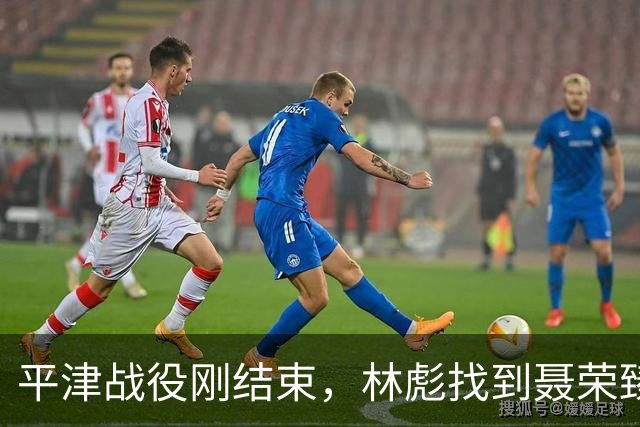 平津战役刚结束，林彪找到聂荣臻：你愿意代替罗荣桓担任四野政委吗
