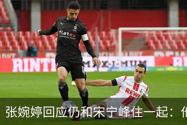 张婉婷回应仍和宋宁峰住一起：他负责带娃，她负责赚钱