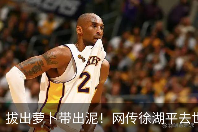 拔出萝卜带出泥！网传徐湖平去世，竟再次将南京博物院给拉下水