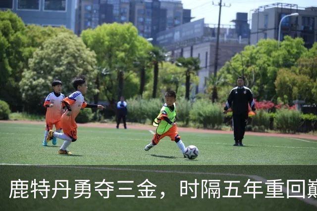 鹿特丹勇夺三金，时隔五年重回巅峰，中国体操73载逐梦，165个冠军荣耀，88位世界冠军全记录