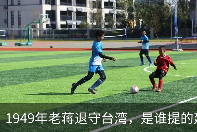 1949年老蒋退守台湾，是谁提的建议？退守前台湾又由谁掌控？